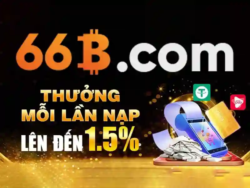 Điều Khoản Sử Dụng 66B