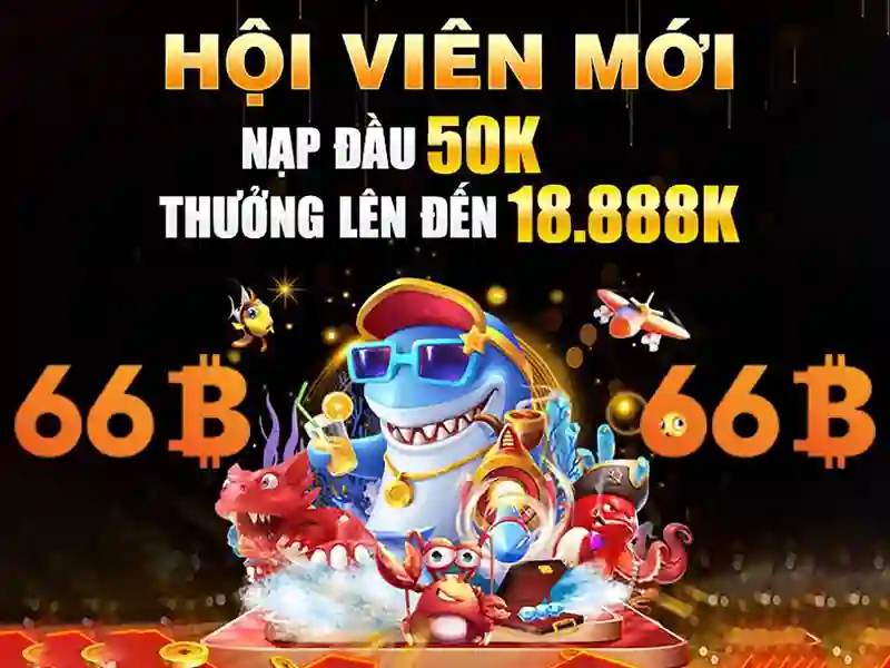 Giới Thiệu Về 66B