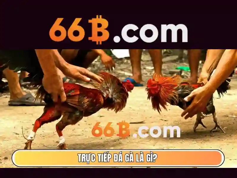 hướng dẫn sử dụng Bắn Cá 66B