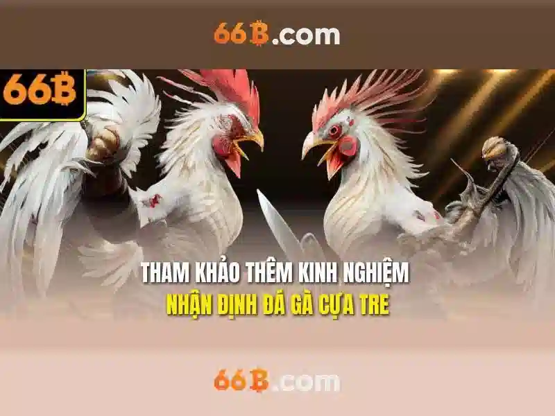 App 66B Download – Trò Chơi Slot Hấp Dẫn Nhất 2026