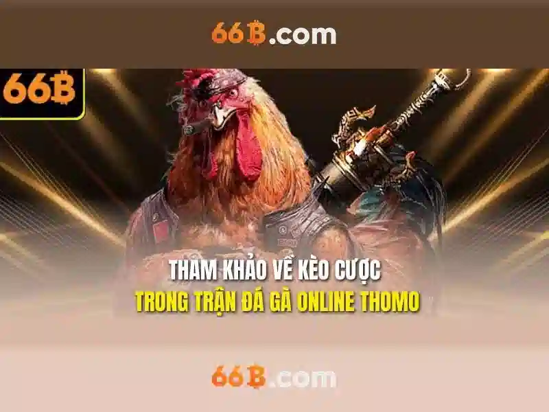 Đặc điểm Slot 66B