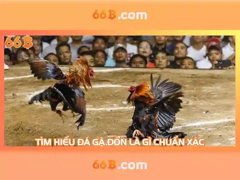 Tài Khoản 66B