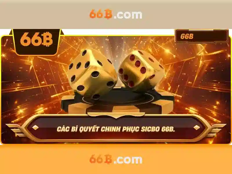 kinh nghiệm 66B