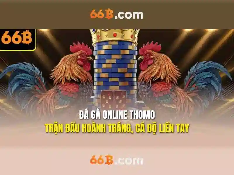 Ưu Đãi Đặc Biệt Cho Thành Viên 66B