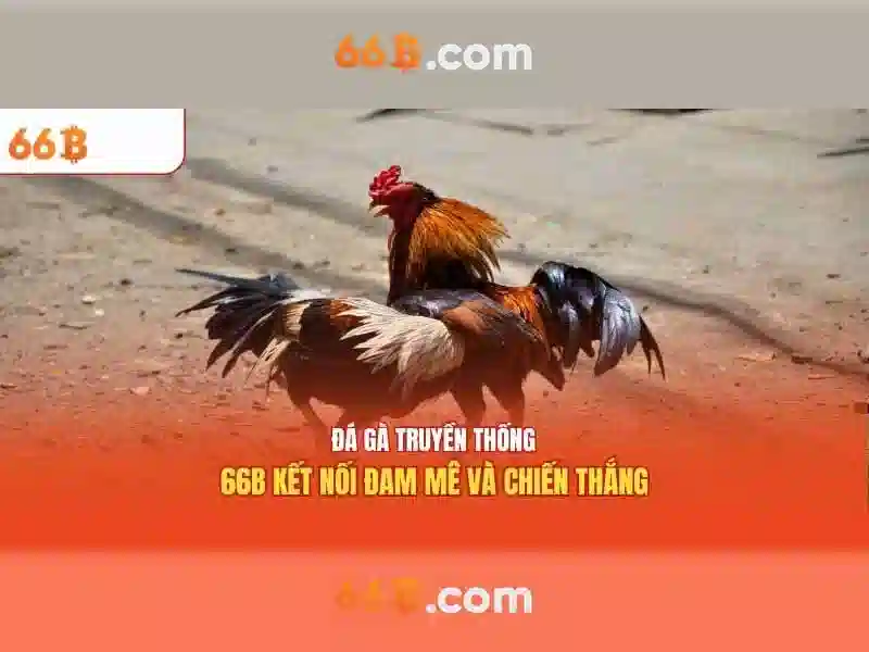 ưu điểm link dự phòng 66b