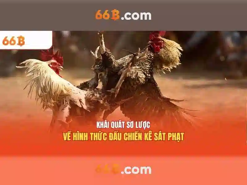 Cách Trải Nghiệm Slot 66B Hiệu Quả