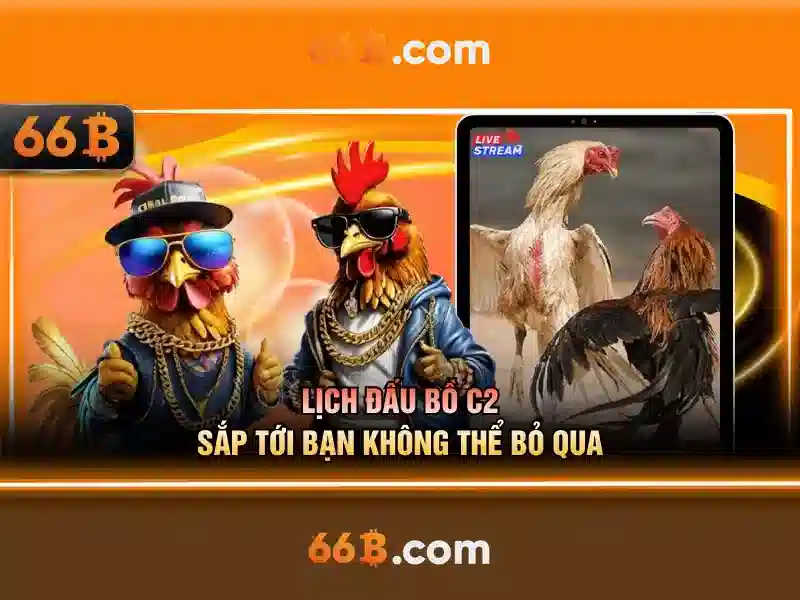 khuyến mãi 66B