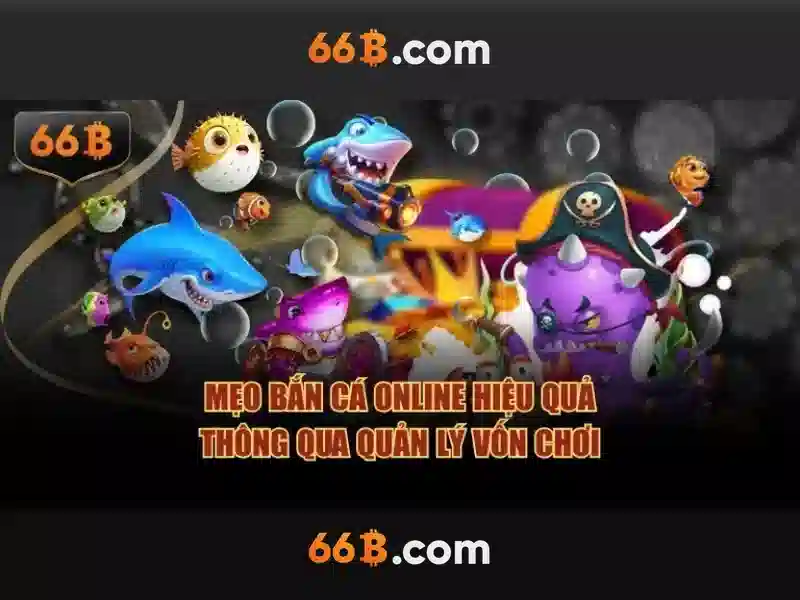 Tính Năng 66B
