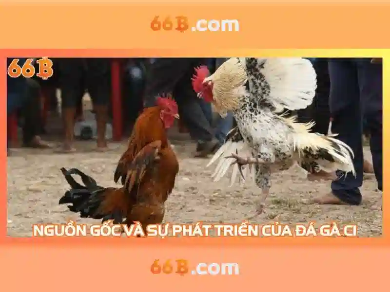 Cách chơi Slot 66B