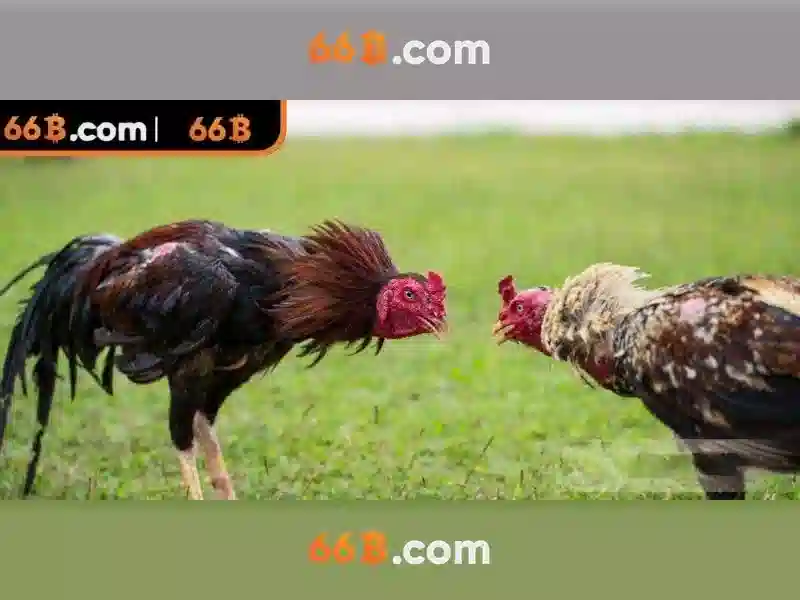 Các loại Slot đỉnh cao trên 66B