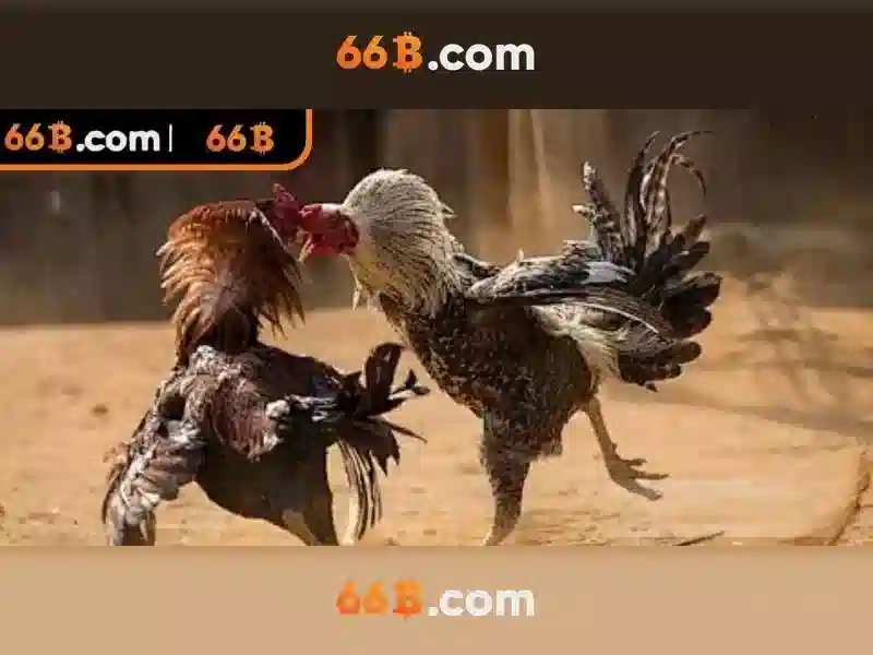 Ưu Đãi 66B - Trải Nghiệm Slot Đỉnh Cao Với Ưu Đãi Độc Quyền 2026