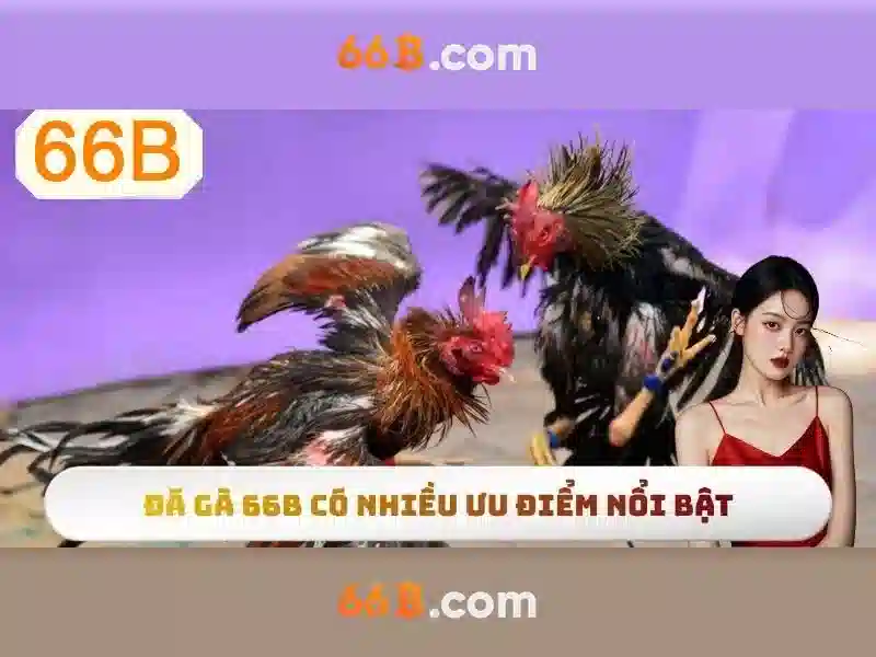 Trải nghiệm Slot mới nhất 2026