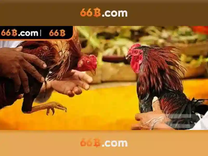 Tại Sao Chọn 66B