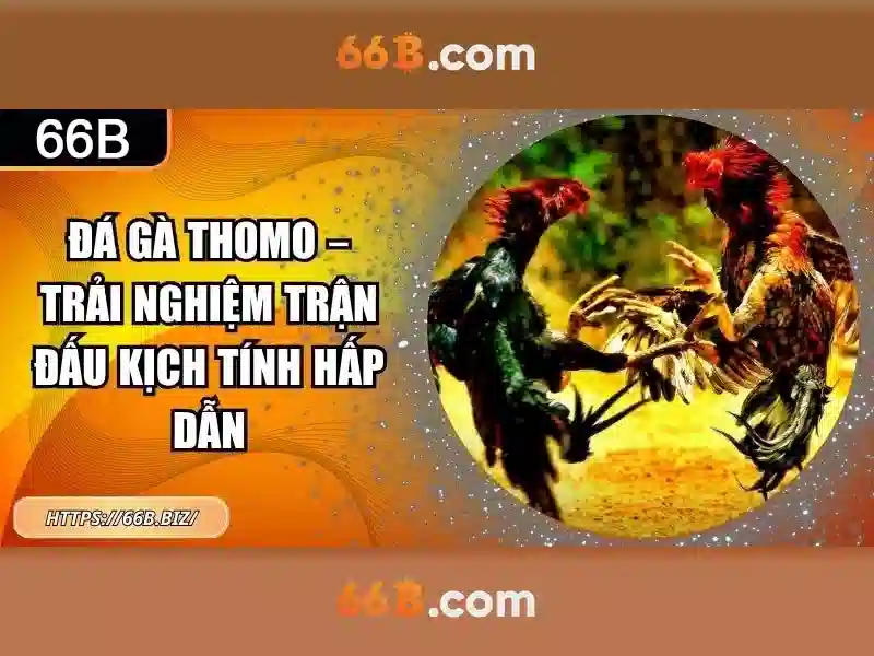 Nổ Hũ 66B