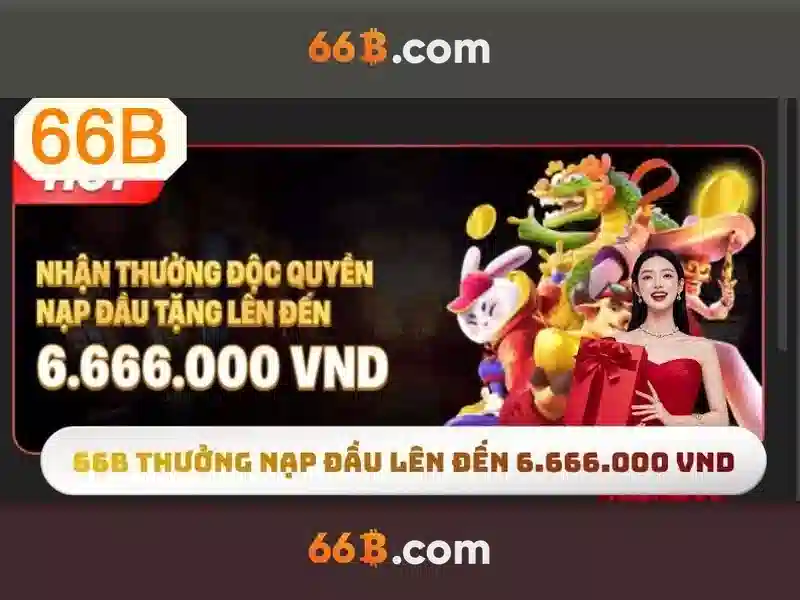 cam kết chất lượng 66b