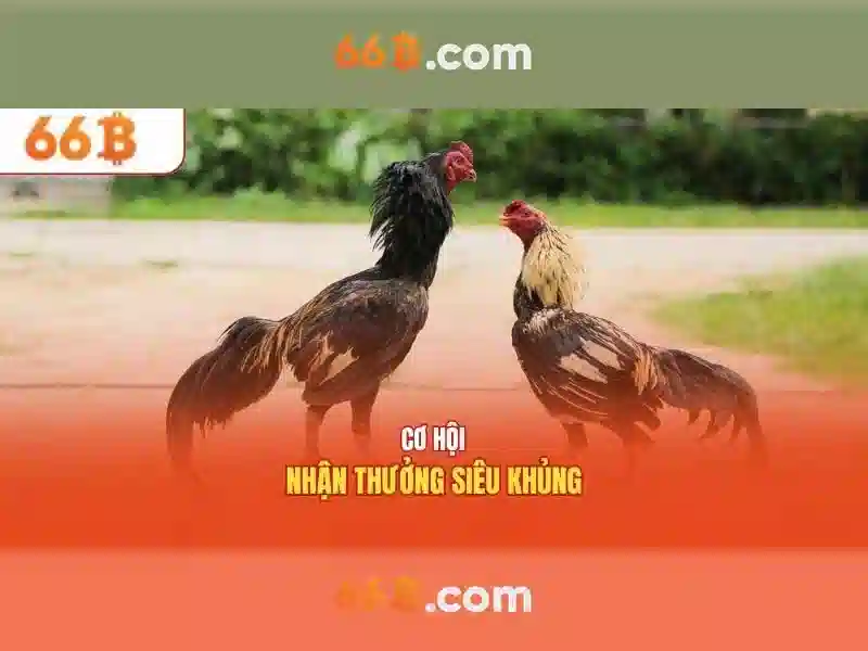 Đăng ký 66B – Bí Quyết Chinh Phục Slot Game Đỉnh Cao 2026