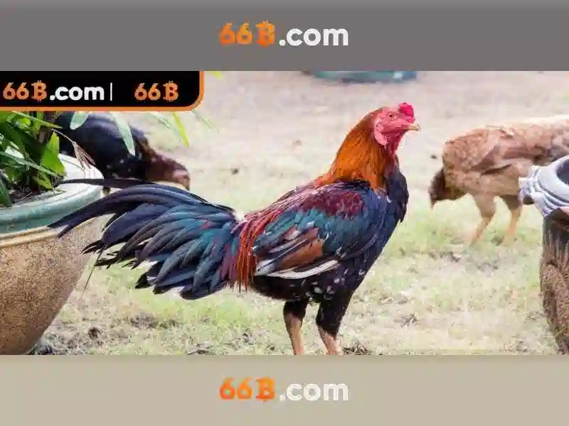 Tính Năng Nổi Bật
