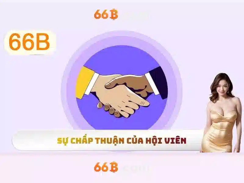 hướng dẫn sử dụng 66B