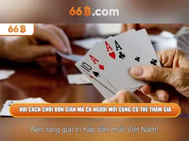 trải nghiệm 66B