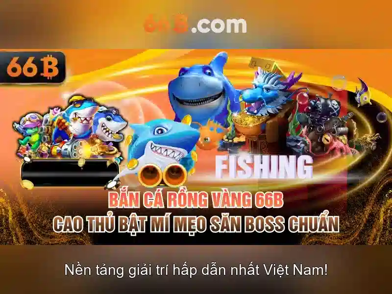 Quy trình trở thành đại lý 66B