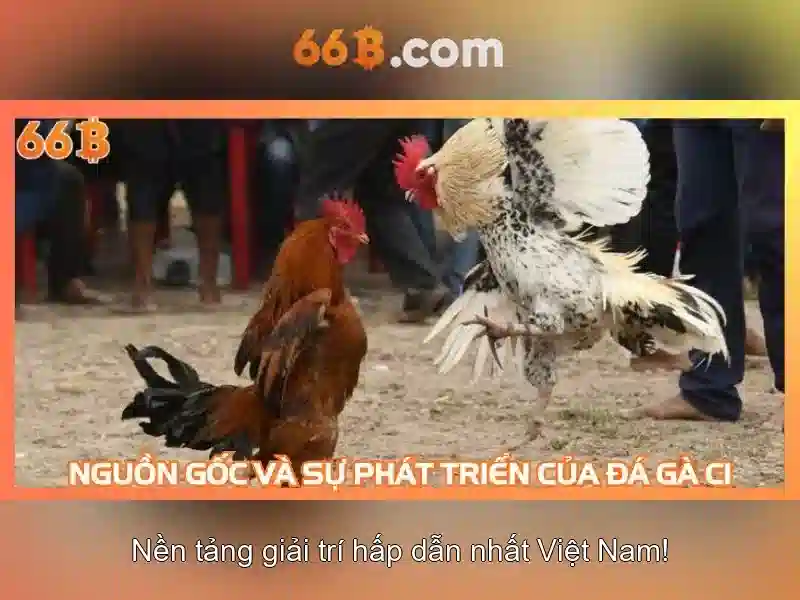 Đăng Nhập 66B