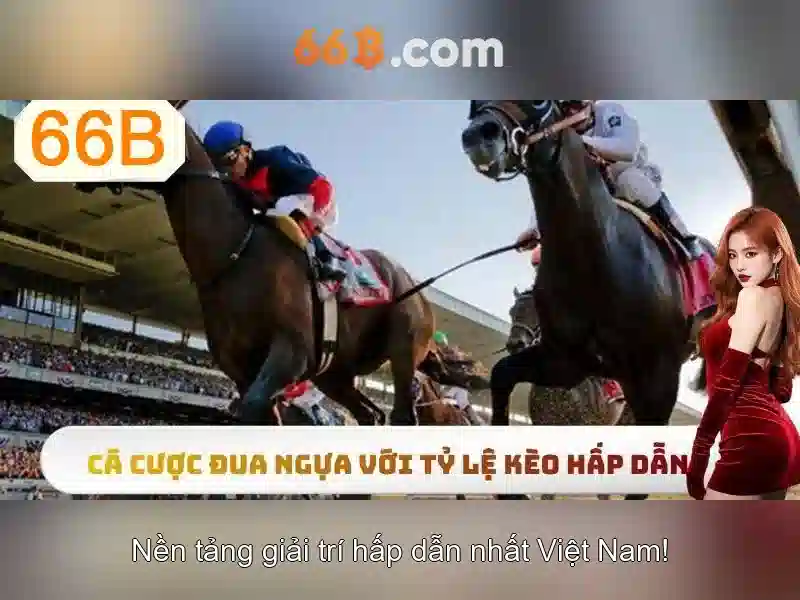 hướng dẫn sử dụng