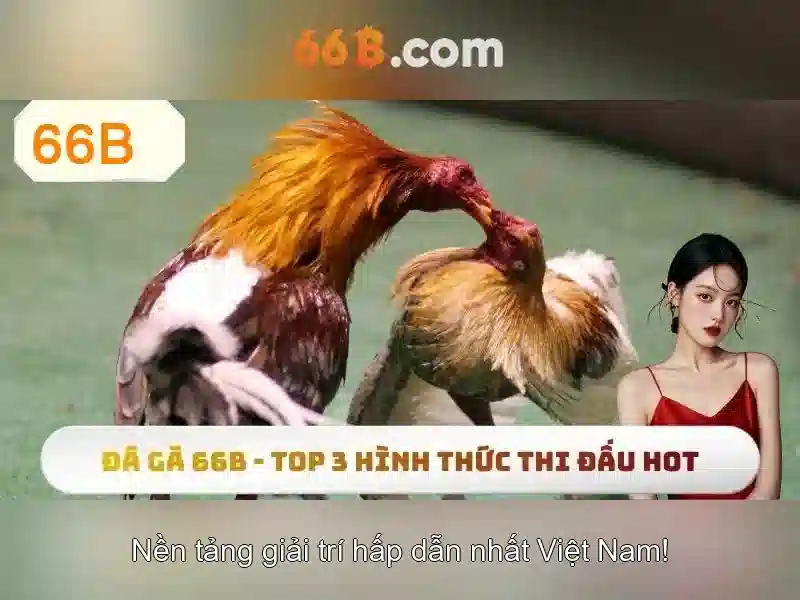 Cách chơi Slot 66B cho người mới