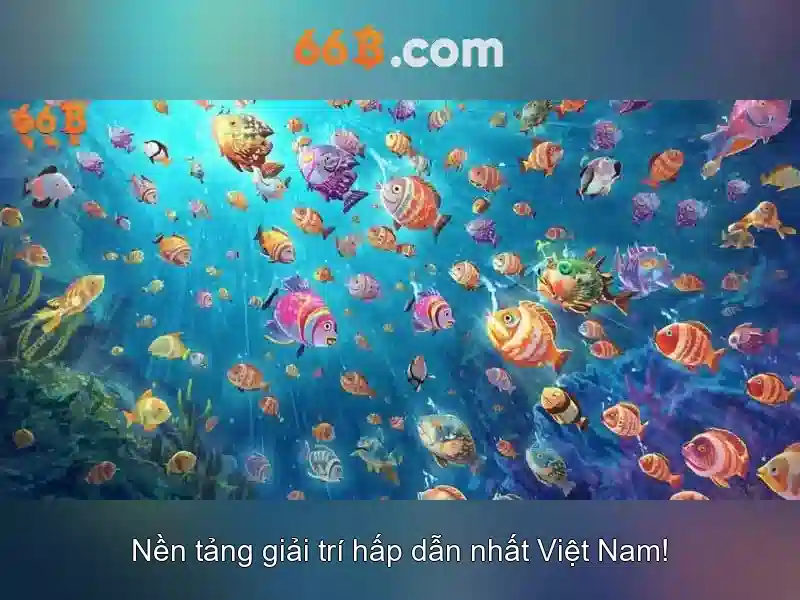hỗ trợ 66B