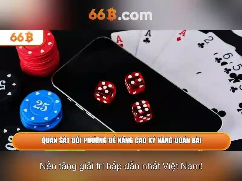 hướng dẫn sử dụng dịch vụ khách hàng 66B