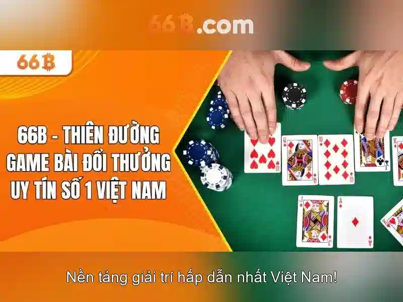 chính sách bảo mật 66B