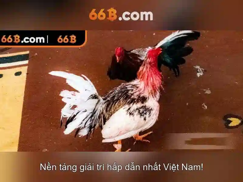 trò chơi Slot 66B