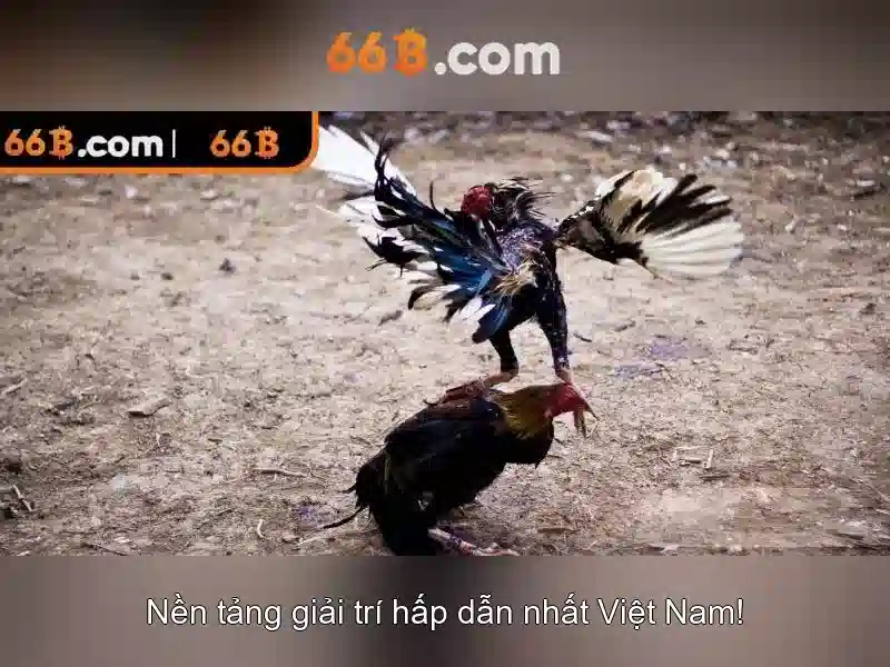 Quy trình nạp rút tiền 66B