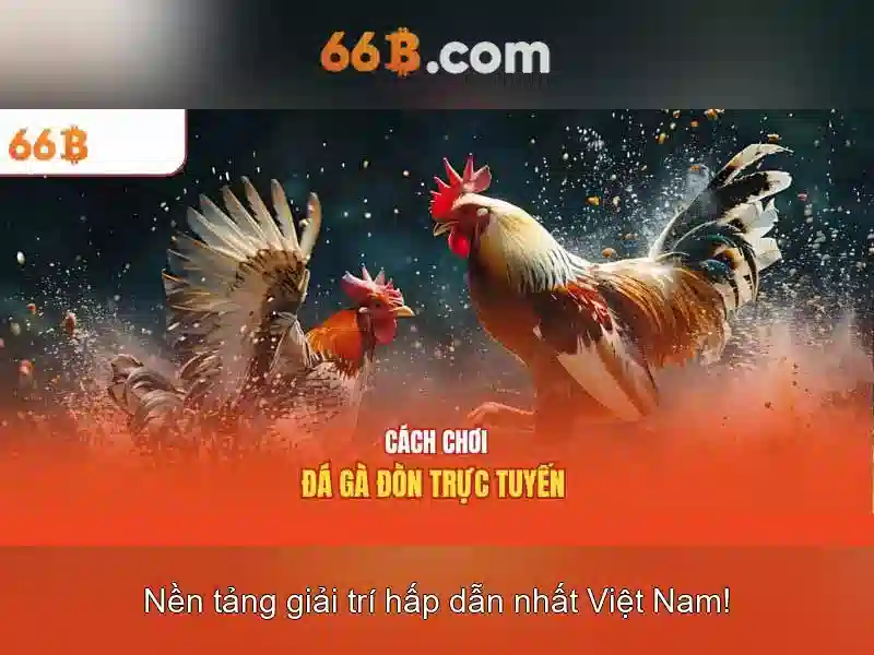 Tính Năng Nổi Bật