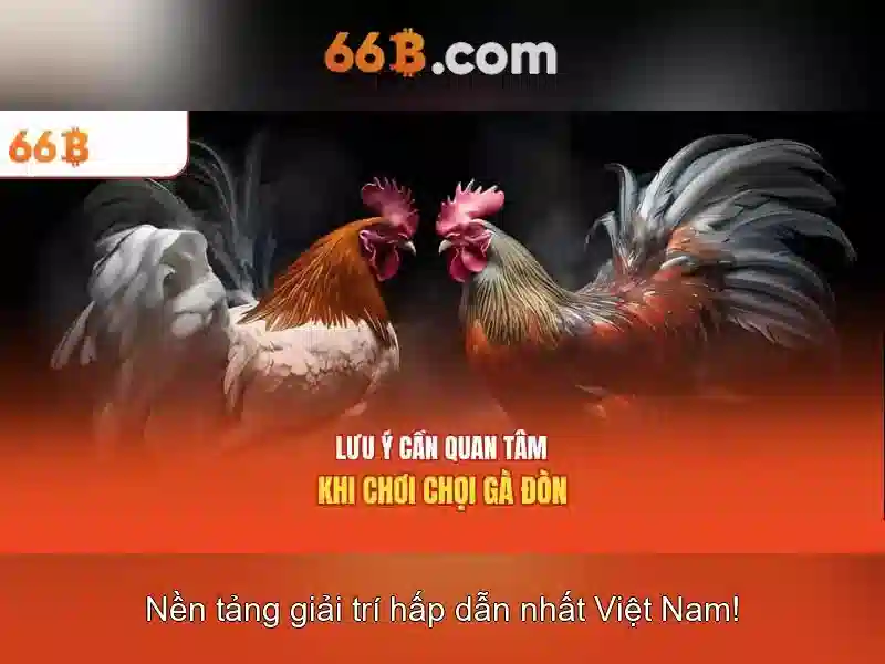 Đánh Giá Slot 66B