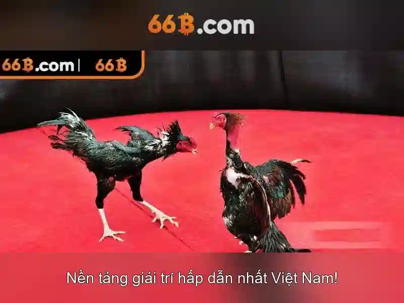 Tính Năng Mậu Binh 66B