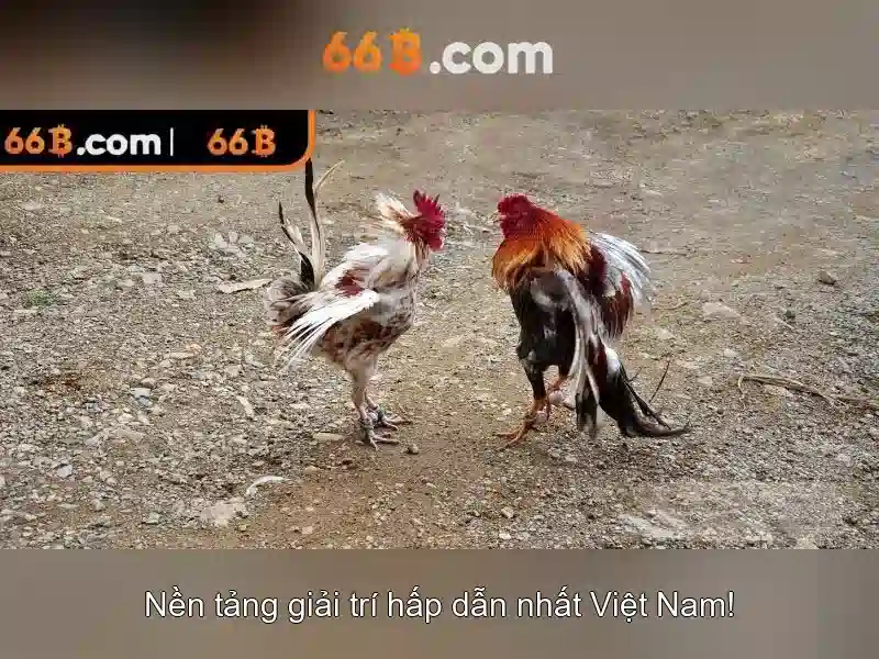 Trải Nghiệm Slot 66B