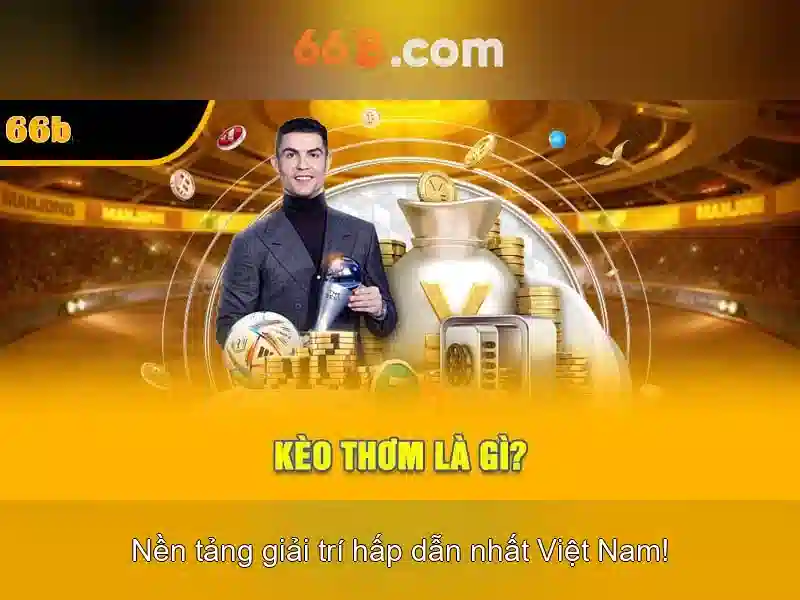 Giới Thiệu Về 66B