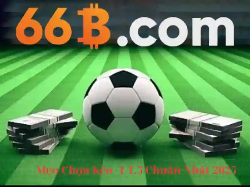 Hỗ Trợ Khách Hàng 24/7