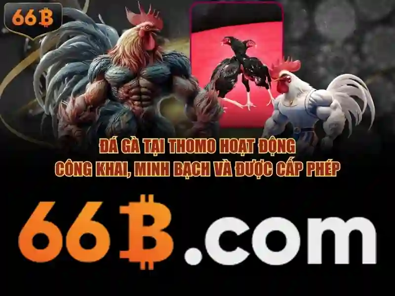 66B – Nền tảng giải trí Slot hàng đầu tại châu Á với 66b Android