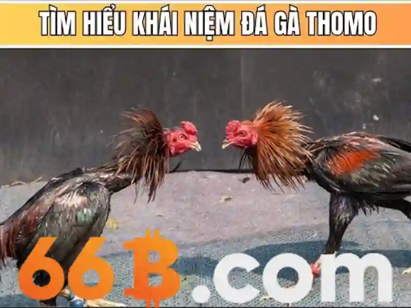 Lợi Ích Đăng Nhập
