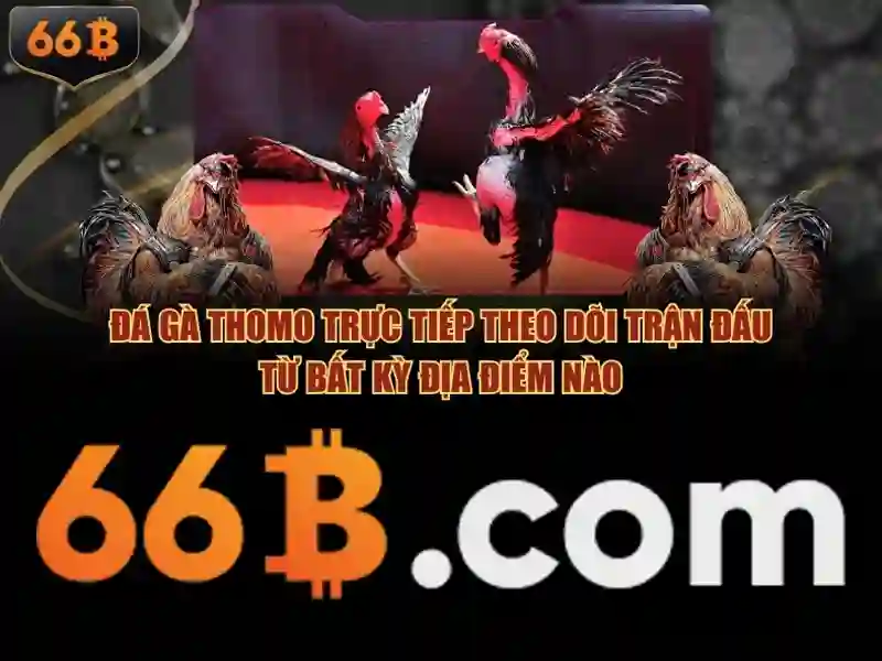 Tận Hưởng Trải Nghiệm