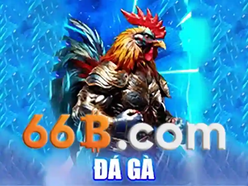 66B triều khúc