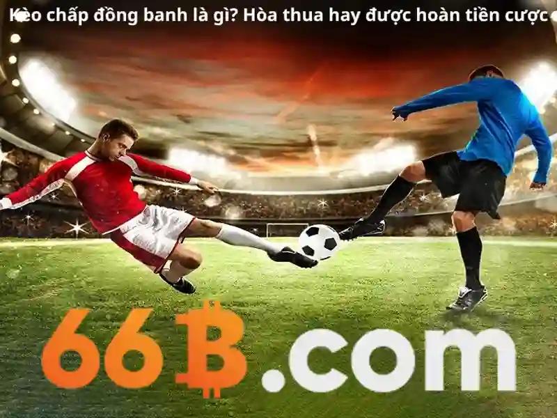 bắn cá 66B